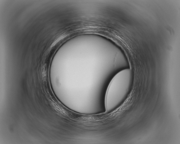X0000111791450200907230938