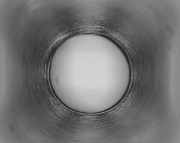 X0000111791451200907230938