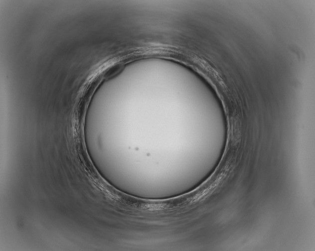 X0000111791453200907230938