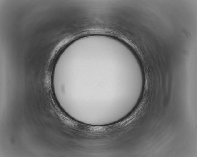 X0000111791454200907230938
