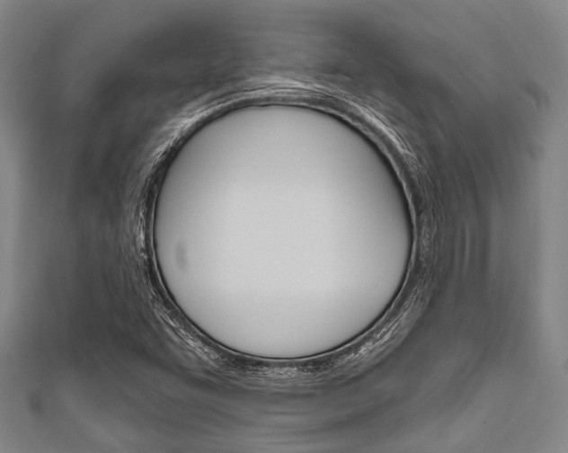 X0000111791455200907230938