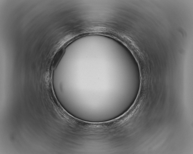X0000111791457200907230938