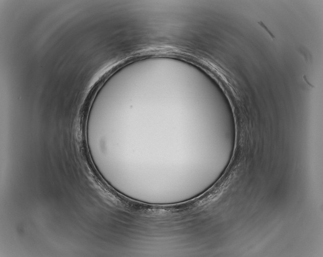 X0000111791458200907230938
