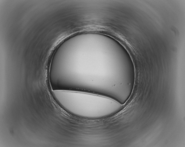 X0000111791459200907230938