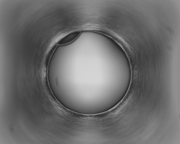 X0000111791461200907230938