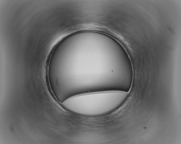 X0000111791463200907230938