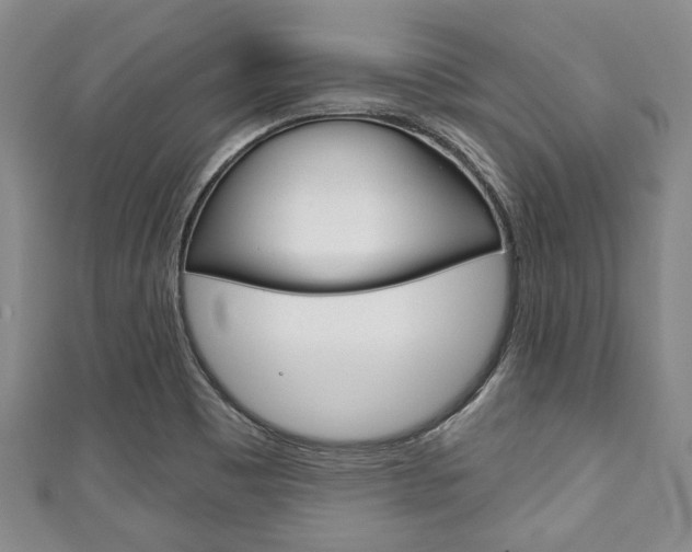 X0000111791465200907230938
