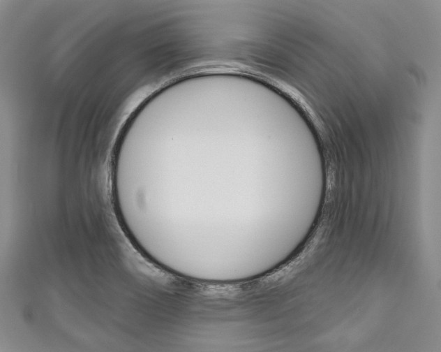 X0000111791466200907230938