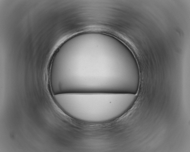 X0000111791467200907230938