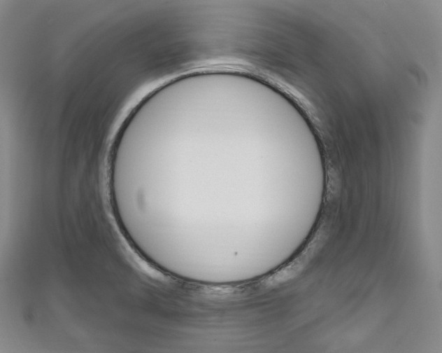 X0000111791470200907230938