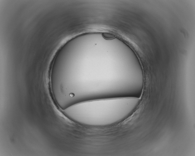 X0000111791471200907230938