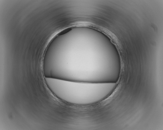 X0000111791473200907230938