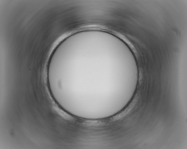 X0000111791474200907230938