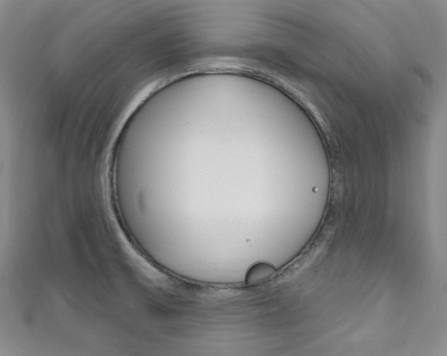 X0000111791475200907230938