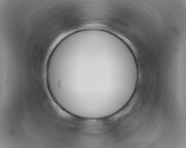 X0000111791478200907230938