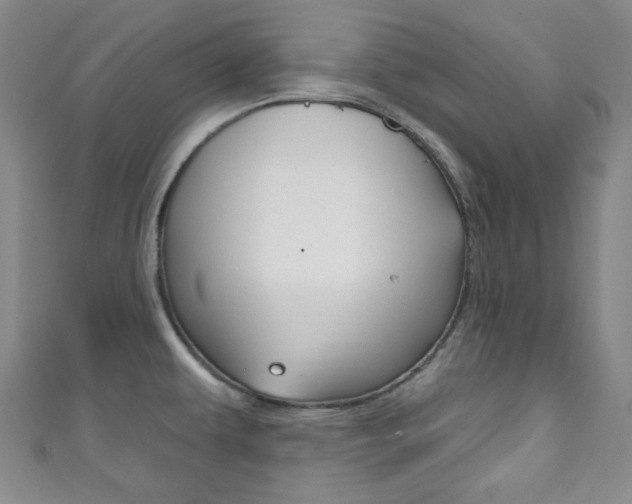 X0000111791479200907230938