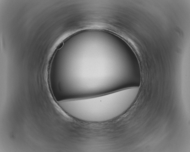 X0000111791480200907230938