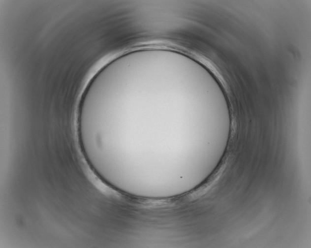 X0000111791482200907230938