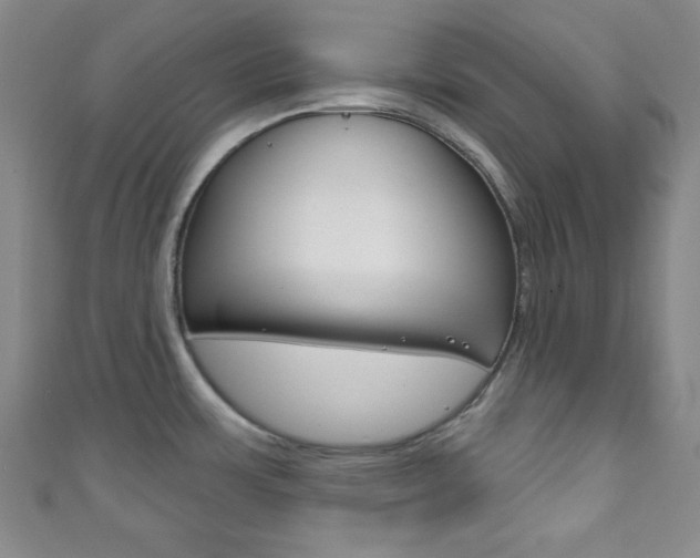 X0000111791483200907230938