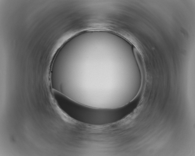 X0000111791485200907230938