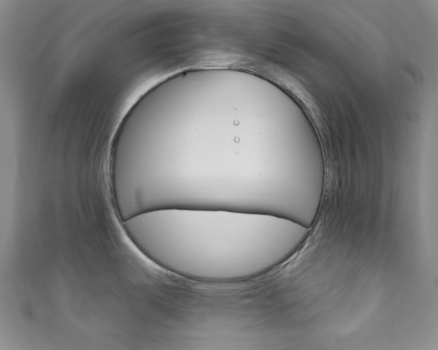 X0000111791487200907230938