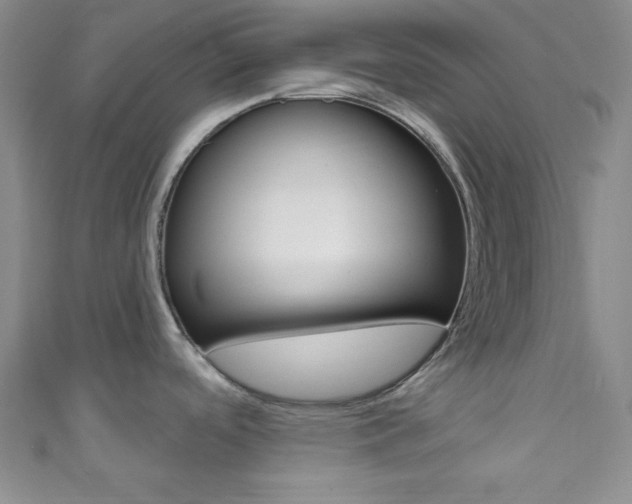 X0000111791488200907230938