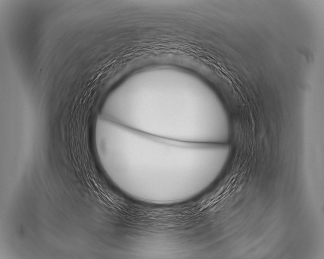 X0000111791489200907230937