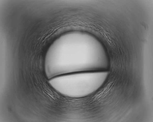 X0000111791490200907230937