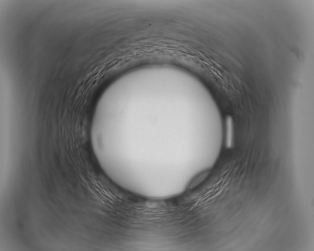 X0000111791491200907230937