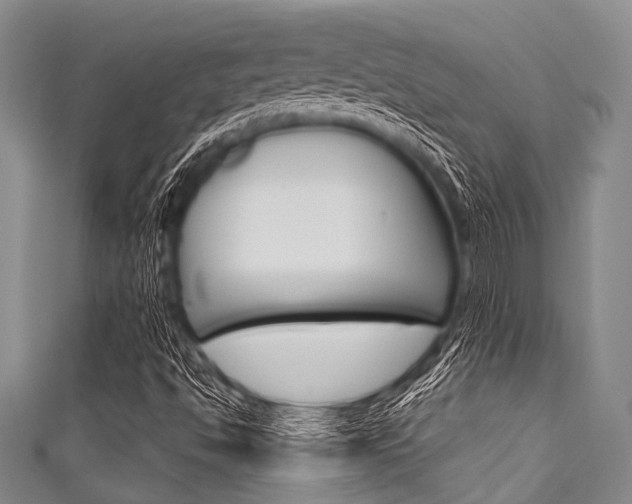 X0000111791494200907230937