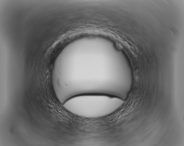 X0000111791495200907230937