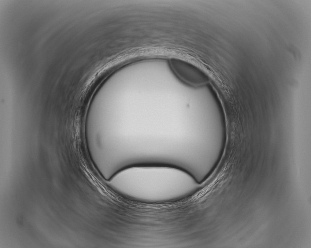 X0000111791499200907230937