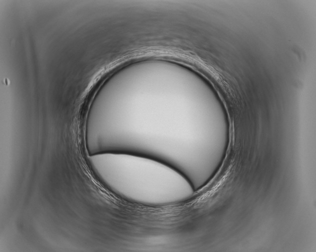X0000111791501200907230937