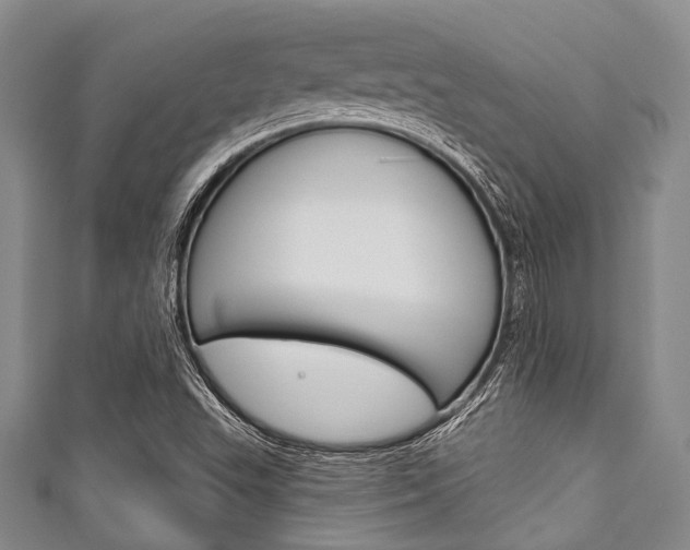 X0000111791503200907230938