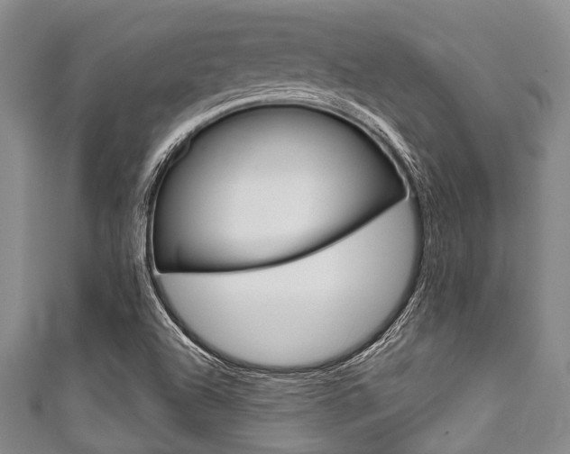 X0000111791504200907230938
