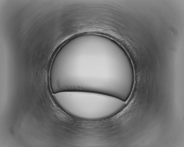 X0000111791505200907230938