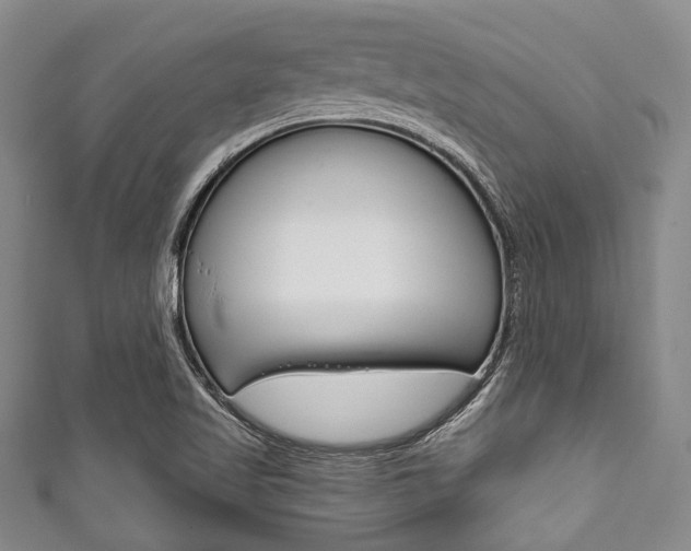 X0000111791509200907230938