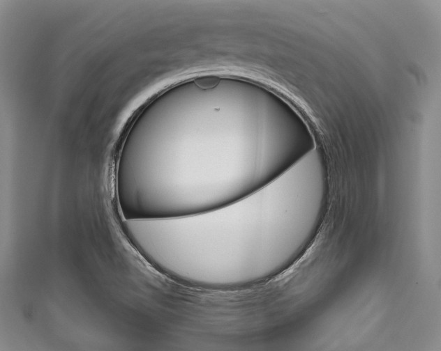 X0000111791510200907230938