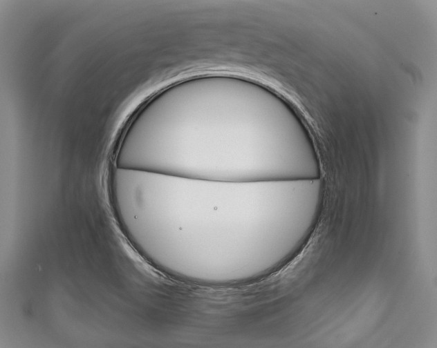 X0000111791511200907230938