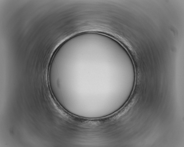 X0000111791513200907230938
