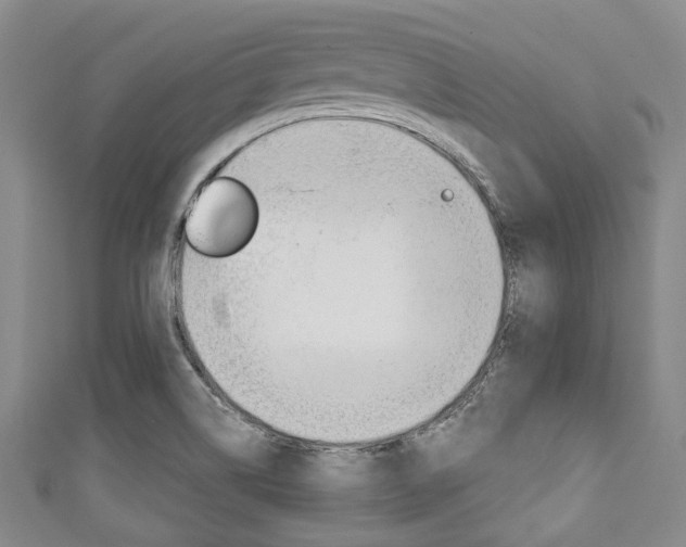 X0000111791514200907230938