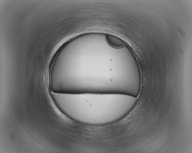 X0000111791515200907230938