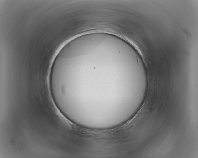 X0000111791516200907230938