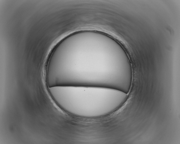 X0000111791517200907230938