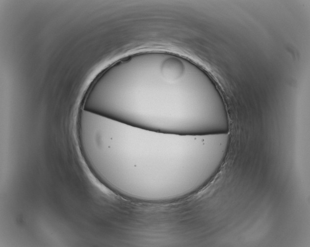 X0000111791519200907230938