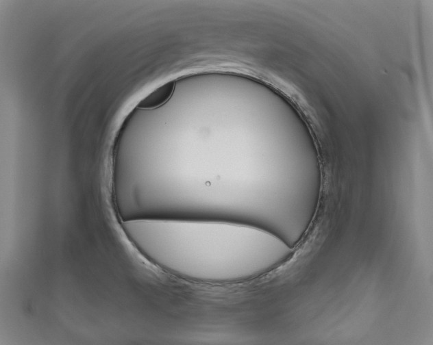 X0000111791520200907230938