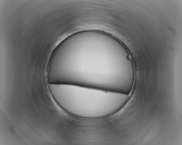 X0000111791521200907230938