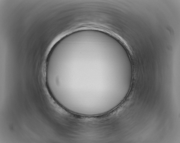 X0000111791522200907230938