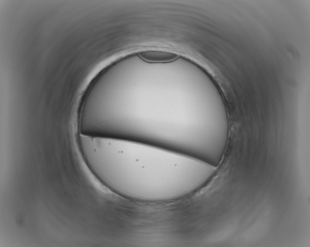 X0000111791523200907230938