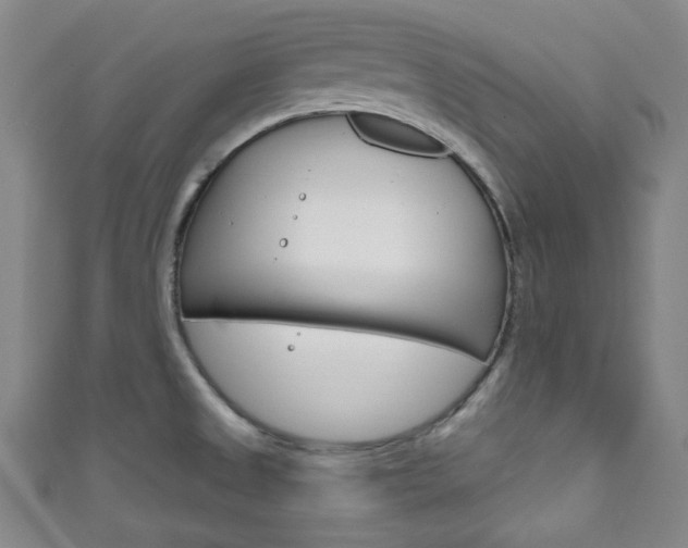 X0000111791525200907230938